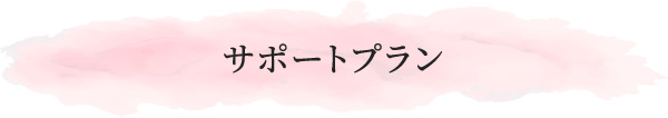 サポートプラン