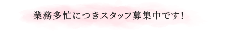 業務多忙につきスタッフ募集中です!